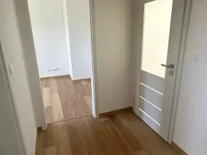 Prodej rodinného domu, Březová-Oleško, V Lísku, 160 m2