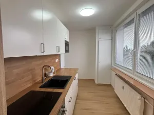 Pronájem bytu 3+1, Olomouc, Přichystalova, 65 m2