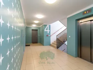 Pronájem bytu 3+kk, Praha - Vinohrady, Korunní, 106 m2