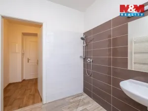 Pronájem bytu 1+kk, Studeněves, 33 m2