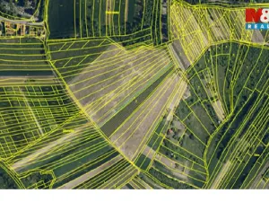 Prodej pole, Dambořice, 12804 m2