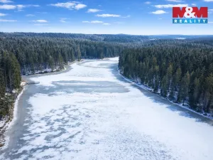 Prodej rybníku, Nová Bystřice - Klenová, 45469 m2