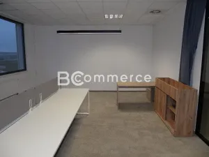 Pronájem kanceláře, Brno, Vídeňská, 555 m2