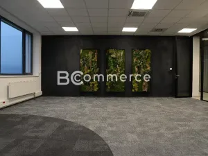 Pronájem kanceláře, Brno, Vídeňská, 555 m2