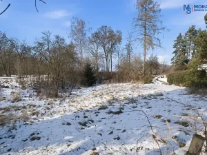 Prodej pozemku pro bydlení, Choustník, 1942 m2