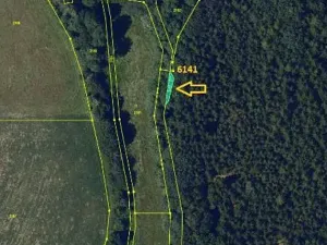 Prodej lesa, Tis, 906 m2