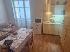 Pronájem bytu 1+kk, Luhačovice, Rumunská, 30 m2