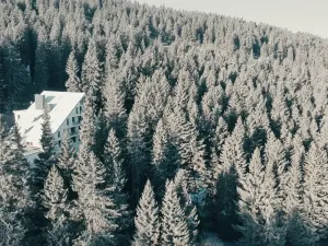 Prodej bytu 2+kk, Loučná pod Klínovcem, 31 m2