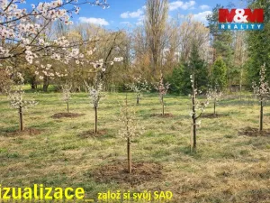 Prodej zahrady, Kořenice - Chotouchov, 1052 m2