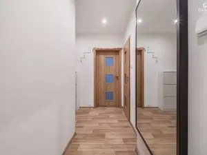 Prodej bytu 2+1, Plzeň, Tichá, 60 m2