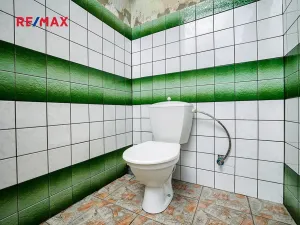 Prodej vícegeneračního domu, Úterý, 677 m2