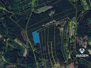 Prodej podílu lesa, Psáry, 2001 m2