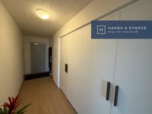 Pronájem bytu 1+kk, Brno, Provazníkova, 48 m2
