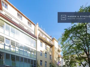 Pronájem bytu 2+1, Brno, Anenská, 50 m2