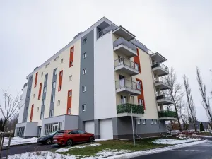 Prodej bytu 2+kk, Nová Role, Svobodova, 80 m2