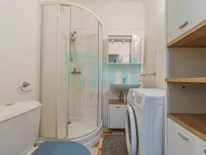 Prodej bytu 1+kk, Frýdek-Místek, J. E. Purkyně, 27 m2