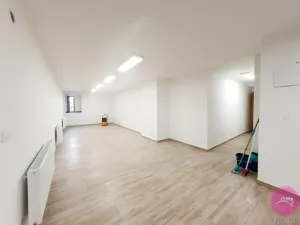 Pronájem skladu, Olomouc, Uhelná, 80 m2