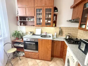 Pronájem bytu 1+1, Jihlava, Telečská, 33 m2