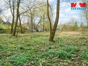 Prodej zahrady, Kořenice - Chotouchov, 1304 m2