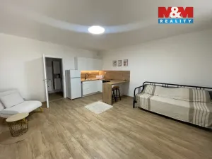 Prodej bytu 1+kk, Ostrava - Nová Ves, Na Lánech, 30 m2