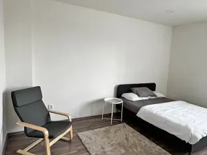 Pronájem bytu 1+1, Ostrava, 28. října, 47 m2