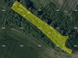 Prodej pole, Vyškov, 7855 m2