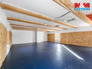Pronájem zemědělské usedlosti, Dobrovíz, Kladenská, 10270 m2