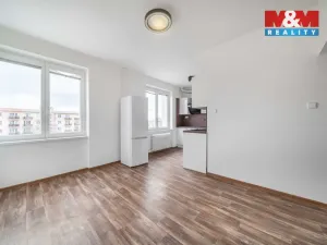 Pronájem bytu 2+kk, Plzeň - Východní Předměstí, 48 m2