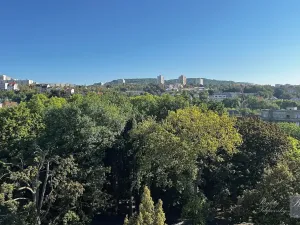 Pronájem bytu 2+1, Ústí nad Labem, U Nemocnice, 90 m2