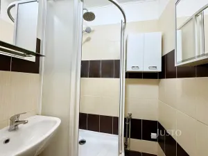 Pronájem bytu 2+1, Ústí nad Labem, Kozinova, 55 m2