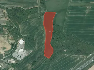 Prodej louky, Starý Plzenec, 59266 m2