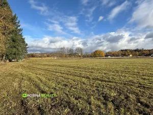 Prodej pozemku pro bydlení, Kynšperk nad Ohří, Petra Bezruče, 4145 m2