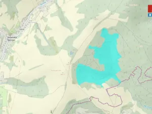 Prodej pozemku, Valašská Senice, 313789 m2