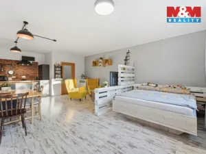 Prodej bytu 1+kk, Plzeň - Východní Předměstí, Guldenerova, 52 m2