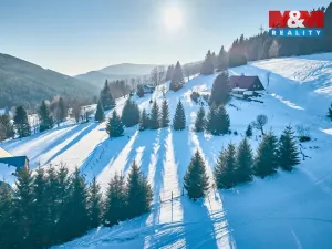 Prodej louky, Malá Úpa - Dolní Malá Úpa, 2445 m2