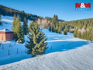 Prodej louky, Malá Úpa - Dolní Malá Úpa, 2445 m2