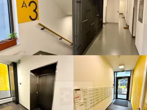 Pronájem bytu 1+kk, Praha - Karlín, Sokolovská, 40 m2