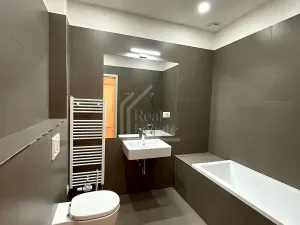 Pronájem bytu 2+kk, Praha - Karlín, Sokolovská, 97 m2