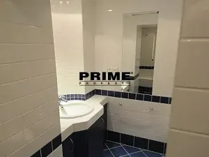 Pronájem bytu 2+1, Praha - Vinohrady, Anny Letenské, 54 m2