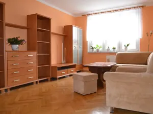 Prodej bytu 2+1, Ostrov, Lidická, 59 m2