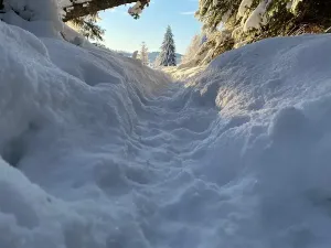 Prodej rodinného domu, Kvilda, 408 m2