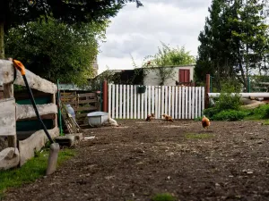 Prodej rodinného domu, Litíč, 60 m2