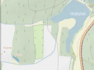 Prodej lesa, Veliny, 882 m2