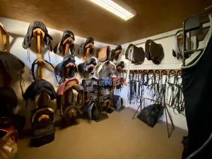 Prodej zemědělského objektu, Vimperk, Hájná Hora, 58189 m2