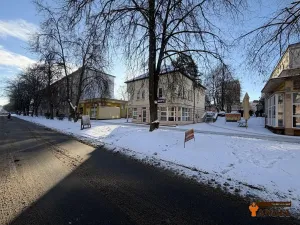 Pronájem obchodního prostoru, Havířov, Dlouhá třída, 55 m2