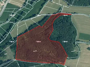 Prodej lesa, Volenice, 84000 m2