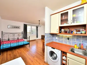 Pronájem bytu 1+kk, Praha - Libeň, Braunerova, 35 m2