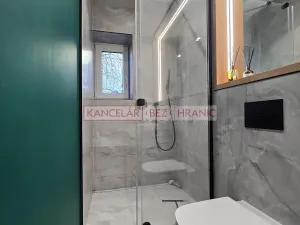 Pronájem bytu 2+kk, Praha - Žižkov, Blahníkova, 51 m2