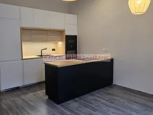 Pronájem bytu 2+kk, Praha - Žižkov, Blahníkova, 51 m2