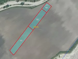 Prodej pole, Čížkovice, 7982 m2